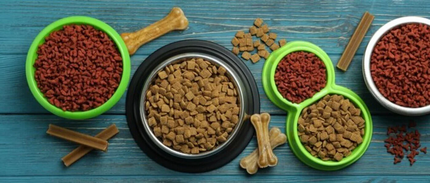 Vegansk hundmat – Allt om veganska hundfoder och 6 produkttips
