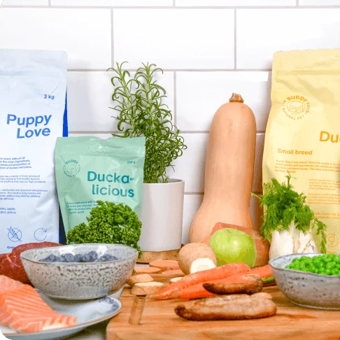 BUDDY Pet Foods hundfoder bäst i test
